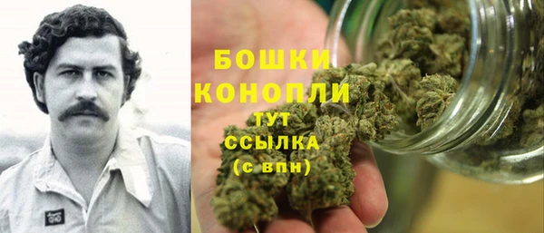 гидра Белокуриха